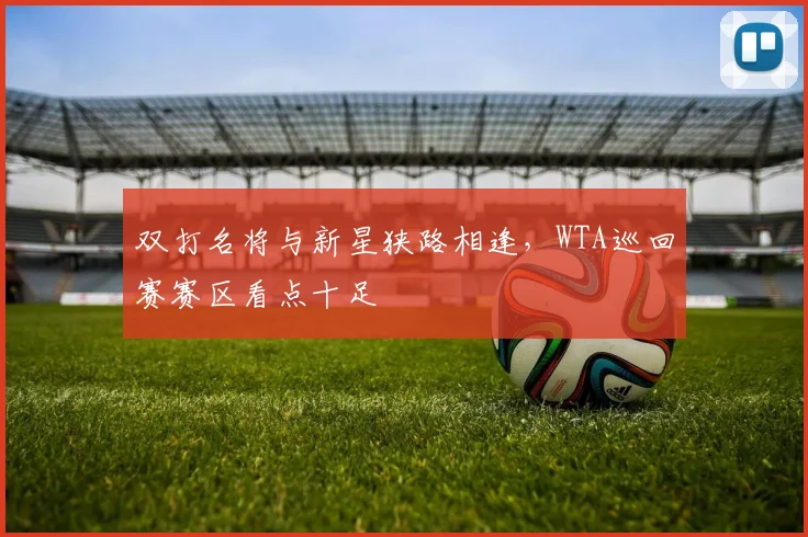 双打名将与新星狭路相逢,WTA巡回赛赛区看点十足 - 爱游戏推荐